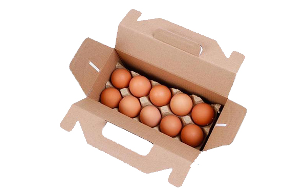 六盘水鸡蛋包装箱
